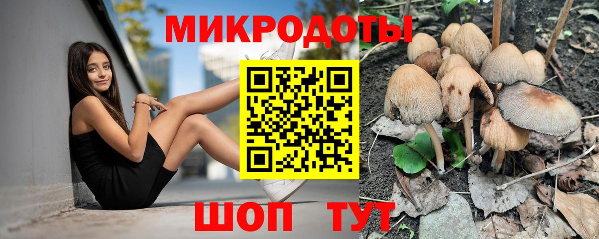 Галлюциногенные грибы Magic Shrooms Дзержинский